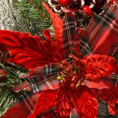 a red poinsettia with pine cones and berries on it