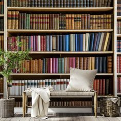 a bookcase filled with lots of books next to a small potted green plant