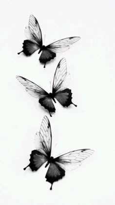 three black and white butterflies flying in the air