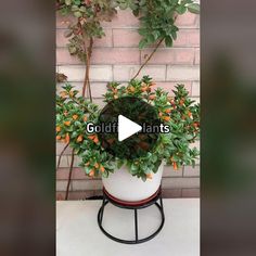 a potted plant sitting on top of a metal stand next to a brick wall