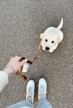 a person holding a leash attached to a small white dog's head while standing on pavement