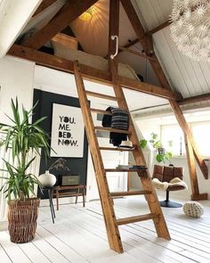 a loft with a ladder and potted plants