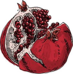 a pomegranate cut in half on top of each other with seeds attached to it