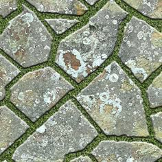 an image of stone pavement with moss growing on it's sides and green grass in the middle