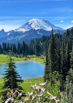 a view of a mountain and lake from the top of a hill with trees around it