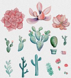 watercolor painting of cactus and succulents