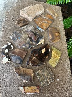 several pieces of glass sitting on top of a cement floor next to plants and rocks