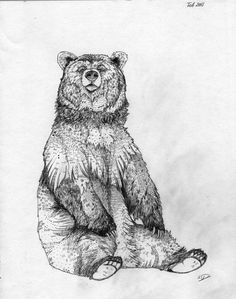 a drawing of a bear sitting on the ground