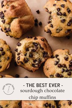 the best ever sourdough chocolate chip muffins with text overlay that reads, the best ever sourdough chocolate chip muffins