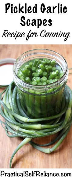 pickled garlic scapes recipe for canning