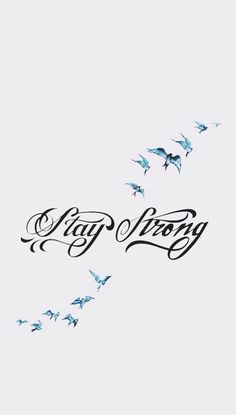 some birds are flying in the sky and there is an inscription that says lazy wrong