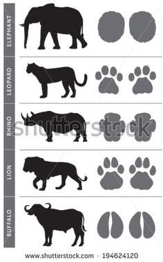 an elephant and other animals are shown in this silhouettes set, which includes the foot prints