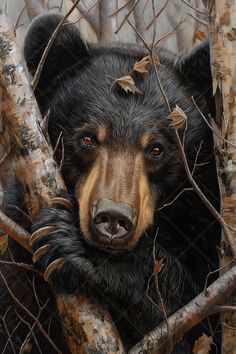 a painting of a black bear behind a fence