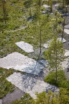 an aerial view of a path in the woods