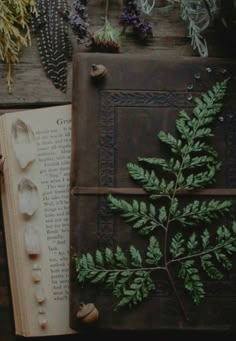 Forest Druid Aesthetic, Floral Witch Aesthetic, Druid Aesthetic Wallpaper, Woodland Goth Aesthetic Outfits, Druid Astethic, Forest Wizard Aesthetic, Druid Academia, Cottagecore Books Aesthetic, Halsin Bg3 Aesthetic