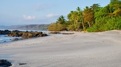 a sandy beach surrounded by trees and water