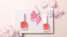 innisfree 2017 Jeju Colour Picker Collection - Blusher Colour Picker, Liquid Blush, New Cosmetics, Color Picker, Cosmetic Design, Color Corrector, Design Case, Makeup Addict