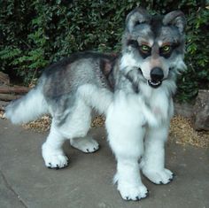 a dog that is standing in front of some bushes