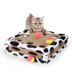 a cat playing with some toys on a white background