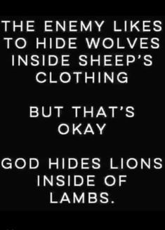 a black and white photo with text that reads, the enemy likes to hide wolverines inside sheep's clothing but that's okay god hides lions inside of lambs