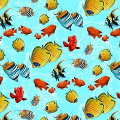 many different colored fish on a blue background