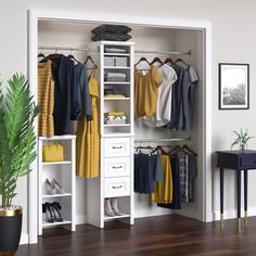 an open closet with clothes and shoes hanging on the shelves next to a potted plant