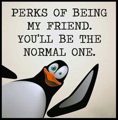 a penguin with the words perks of being my friend you'll be the normal one