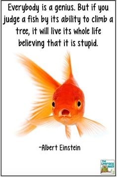 an orange goldfish with a quote from albert einstein on it's face and the words, everybody is a genius but if you judge a fish by its ability to climb