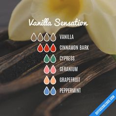 Vanilla Essential Oil Blends, Fruity Essential Oil Diffuser Blends, Rose And Vanilla Essential Oil Blends, Vanilla Cinnamon Essential Oil Blends, Cinnamon Essential Oil Blends, Frangipani Essential Oil Blend, Essential Oil Perfume Blends, Perfume Blends, Essential Oil Carrier Oils