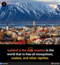 a city with mountains in the background and a quote about iceland is the only country in the world that is free of mosquitoes, snakes, and other reptiles