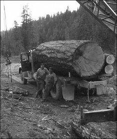 two men standing next to a large log