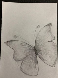 a pencil drawing of a butterfly on paper