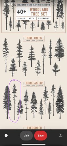 an info sheet showing the different types of trees and how they can be used to decorate them