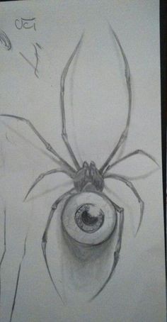 a drawing of a spider on a white paper