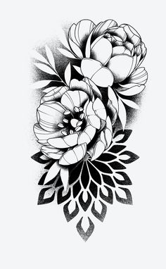 a black and white drawing of flowers with leaves on the bottom half of their petals