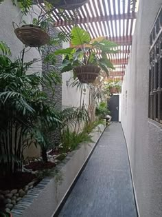 a long narrow walkway between two buildings