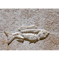 a fish carved into the side of a wall