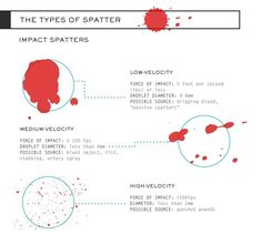 the types of spathers in different shapes and sizes, including red paint on white paper