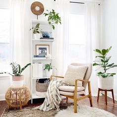 a living room filled with furniture and plants