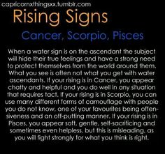 Scorpio Astrology Ascendant, Tattoo Leo, Rising Signs, Ascendant Sign, Pisces Scorpio, Scorpio Rising, Pisces Astrology