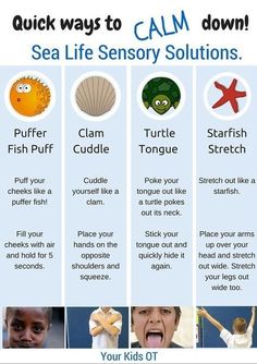 the four different types of sea life are shown in this poster, which shows how to use