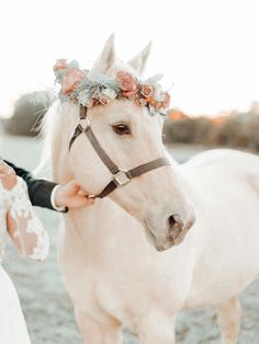 a bride and groom petting a white horse on the head with flowers in it's bridle