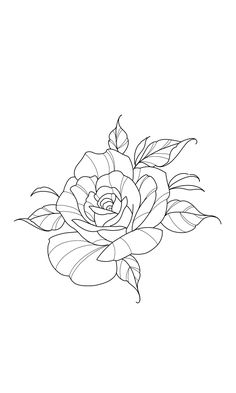 a drawing of a rose on a white background