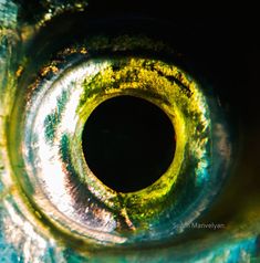 an eyeball is seen in this close up photo from the inside looking into the camera