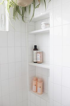 a bathroom with white tiled walls and shelves filled with soaps, lotions and plants