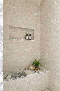 a white tiled bathroom with two bottles on the shelf and a potted plant in the corner