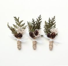 three pine cones tied together with white ribbon