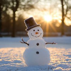 Premium Frosty The Snowman Holiday Graphic Snowman Pictures, Snowmen Pictures, Snowman Images, Frosty The Snowman, Happy Soul, Frosty The Snowmen, Flower Background, Flower Background Wallpaper, The Snowman