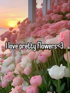 the words i love pretty flowers - 3 are in front of pink and white flowers