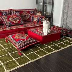 a cat sitting on top of a red couch next to a green rug in a living room